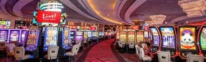 wynn11